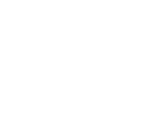 IEEE Systems Council